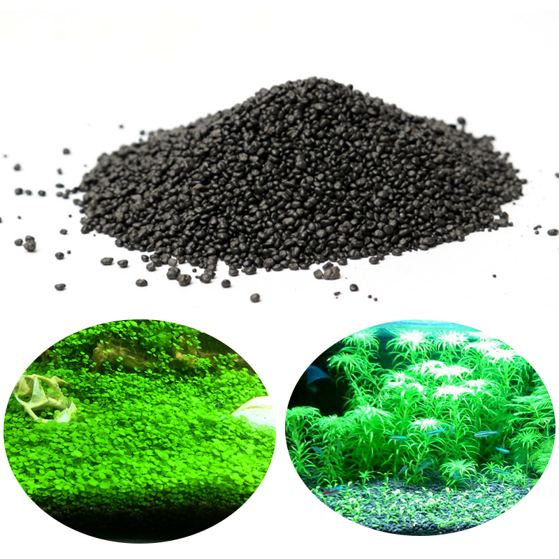 Aquarium Water Grass Mud Plant - Aquarium Planted Seeds ulasan dan harga