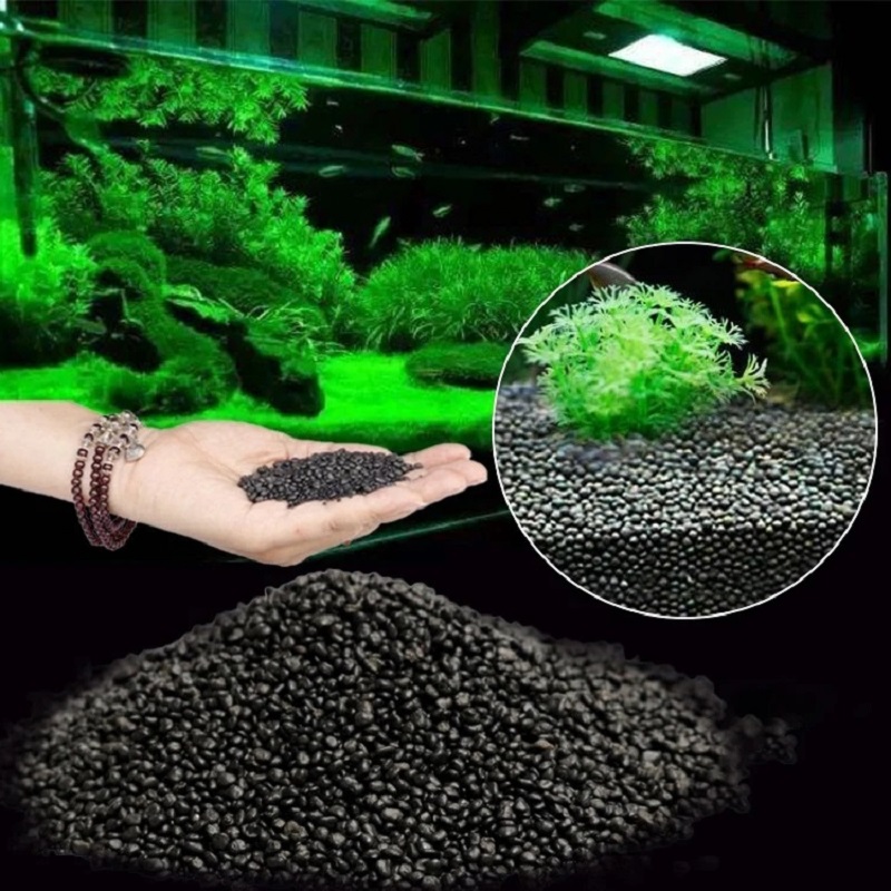 Fish Tank Water Grass Mud Plan - Aquarium Planted Seeds ulasan dan harga