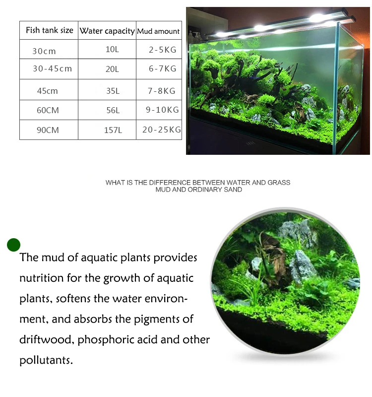 Fish Tank Water Grass Mud Plan - Aquarium Planted Seeds ulasan dan harga