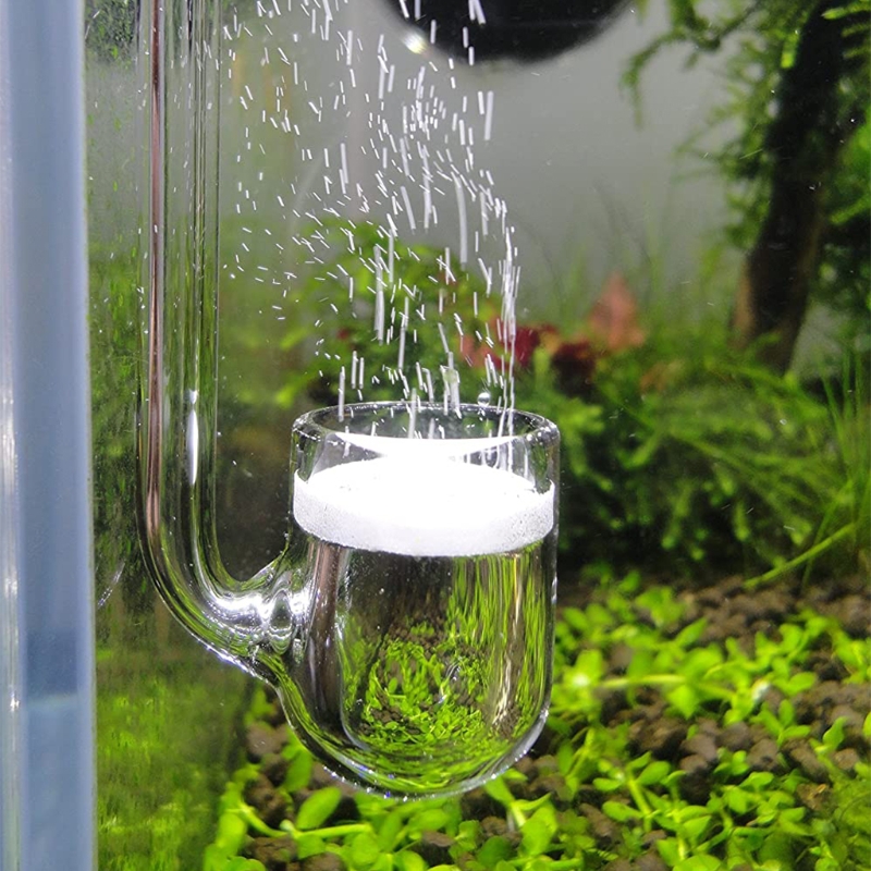 D0AD Glass CO2 Diffuser for Aq - Planted Aquarium Parameters ulasan dan harga