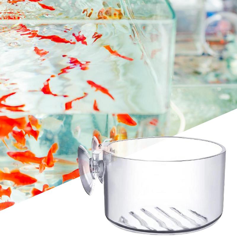 Aquarium Plant Pot Glass Cylin - Aquarium Planted Seeds ulasan dan harga