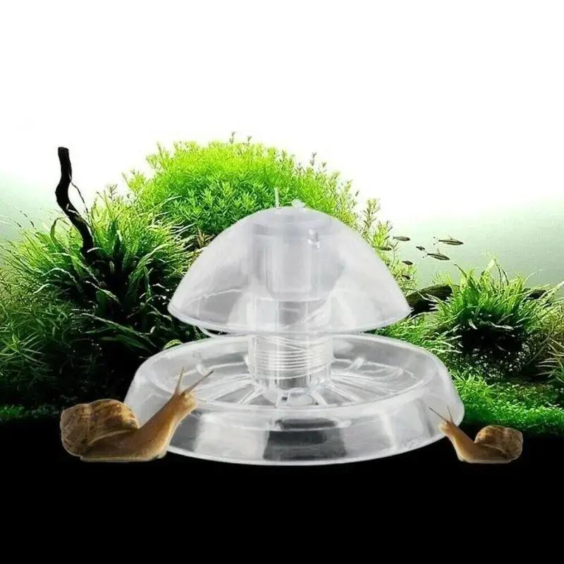 2026 New 6/8CM Clear Plastic S - Planted Aquarium Parameters ulasan dan harga