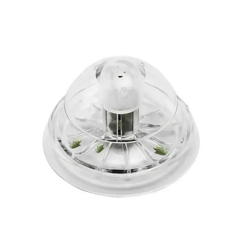 2026 New 6/8CM Clear Plastic S - Planted Aquarium Parameters ulasan dan harga