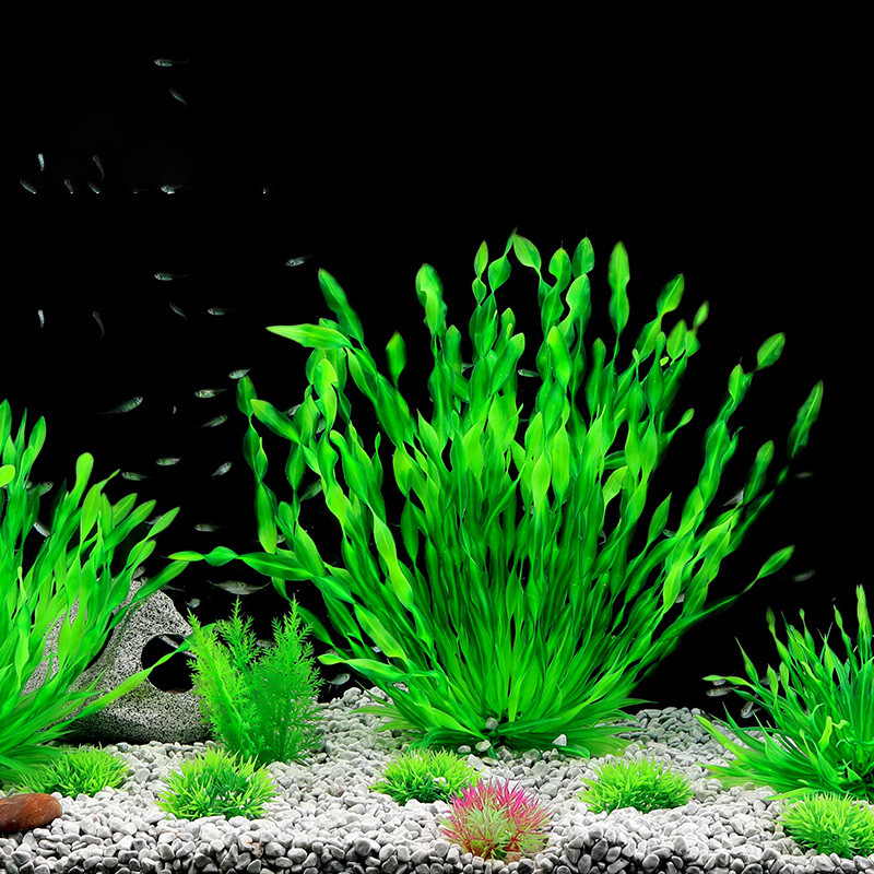 13/23/32/36/40cm Aquarium Arti - Aquarium Planted Seeds ulasan dan harga
