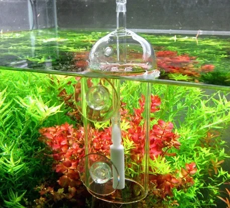 VIV Do Device Aquarium Cylinde - Planted Aquarium Parameters ulasan dan harga