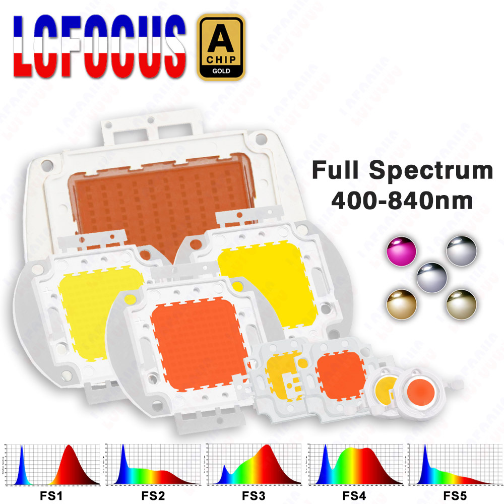 1W 3W 5W 10W 20W 30W 50W 100W  - Aquarium Planted Seeds ulasan dan harga