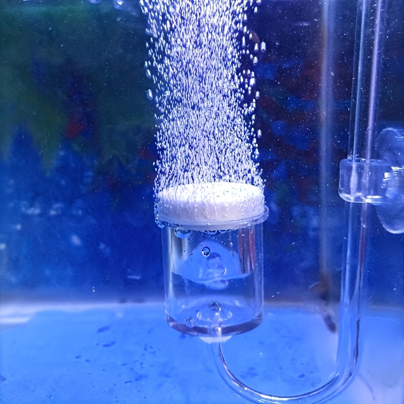 Aquarium Glass CO2 Atomizer Di - Planted Aquarium Parameters ulasan dan harga