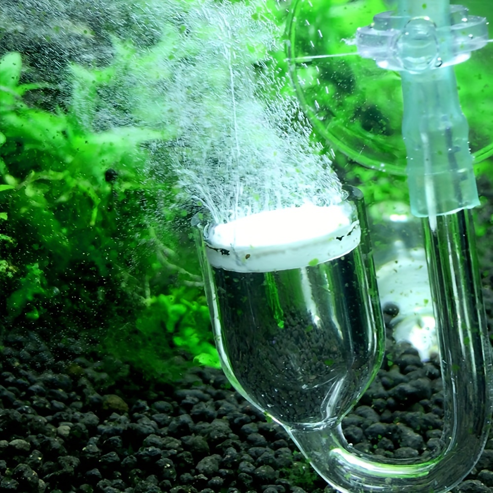 Aquarium Glass CO2 Atomizer Di - Planted Aquarium Parameters ulasan dan harga
