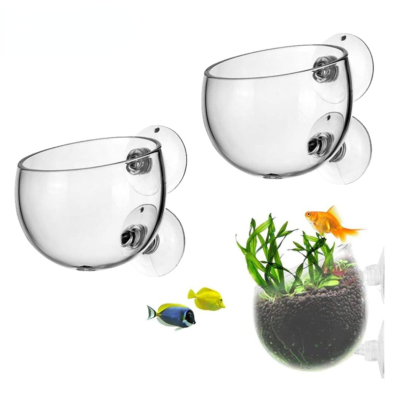 New Aquarium Plant Pot Glass C - Aquarium Planted Seeds ulasan dan harga