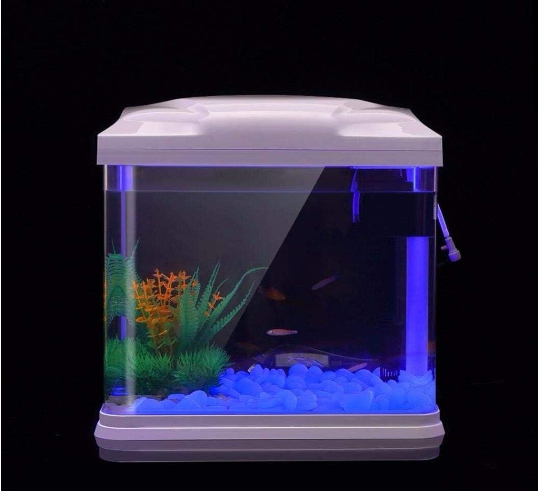 Fish Tank Rocks Glow Blue Pebb - Planted Aquarium Parameters ulasan dan harga