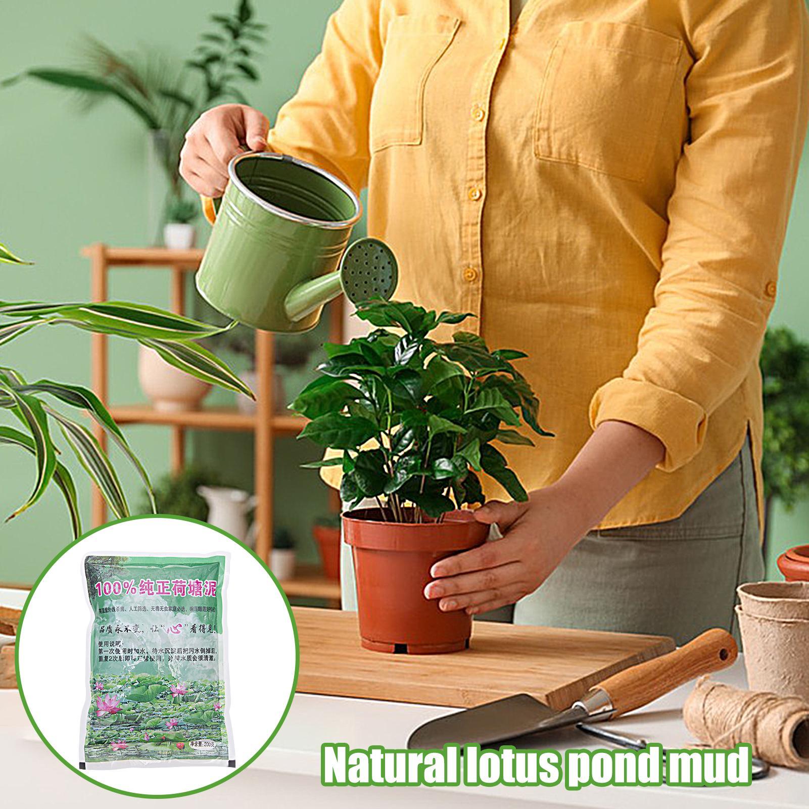 200g/bag Aquarium Soil Natural - Aquarium Planted Seeds ulasan dan harga