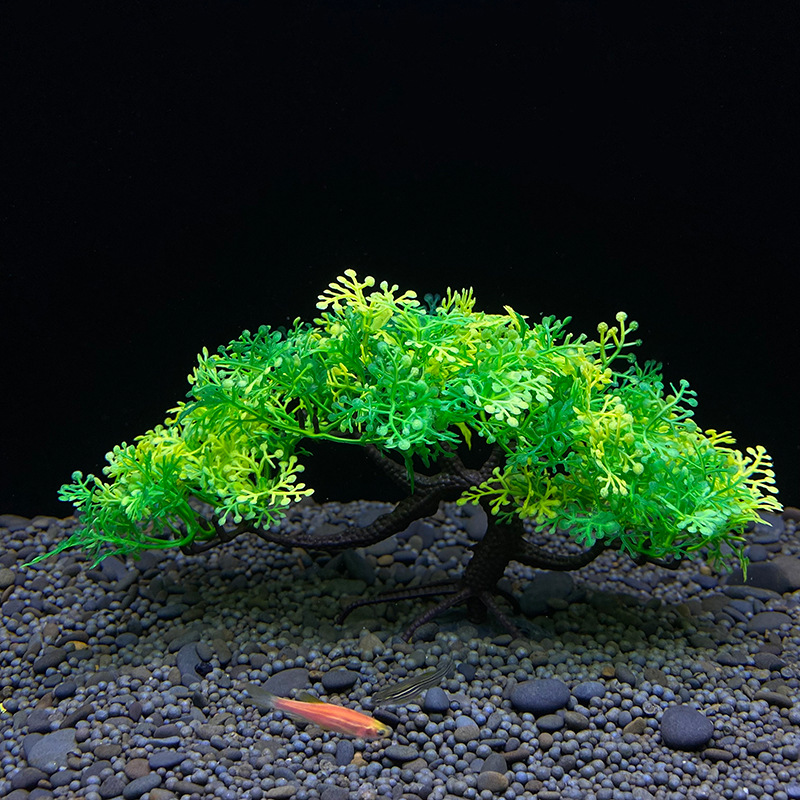 Aquarium Bonsai Tree, Plant, F - Aquarium Planted Seeds ulasan dan harga