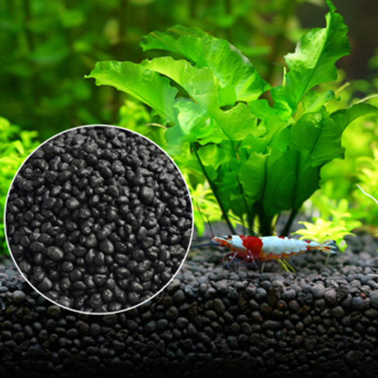 Aquarium Plant Seeds Soil Fish - Planted Aquarium Parameters ulasan dan harga