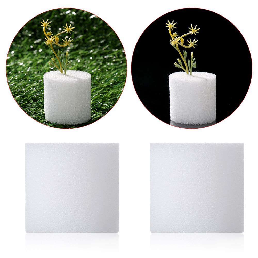 10/50pcs Durable Garden Suppli - Aquarium Planted Seeds ulasan dan harga