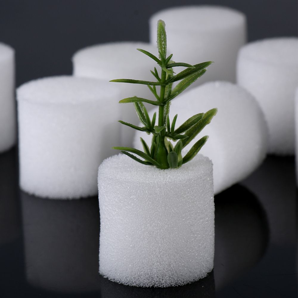 10/50pcs Durable Garden Suppli - Aquarium Planted Seeds ulasan dan harga