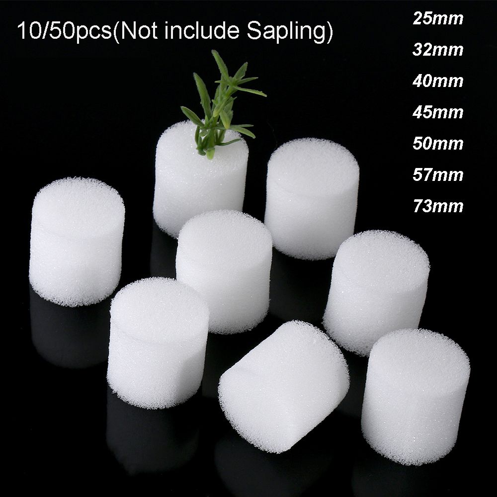 10/50pcs Durable Garden Suppli - Aquarium Planted Seeds ulasan dan harga