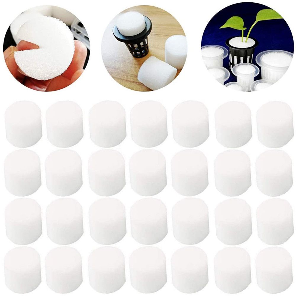 10/50pcs Durable Garden Suppli - Aquarium Planted Seeds ulasan dan harga