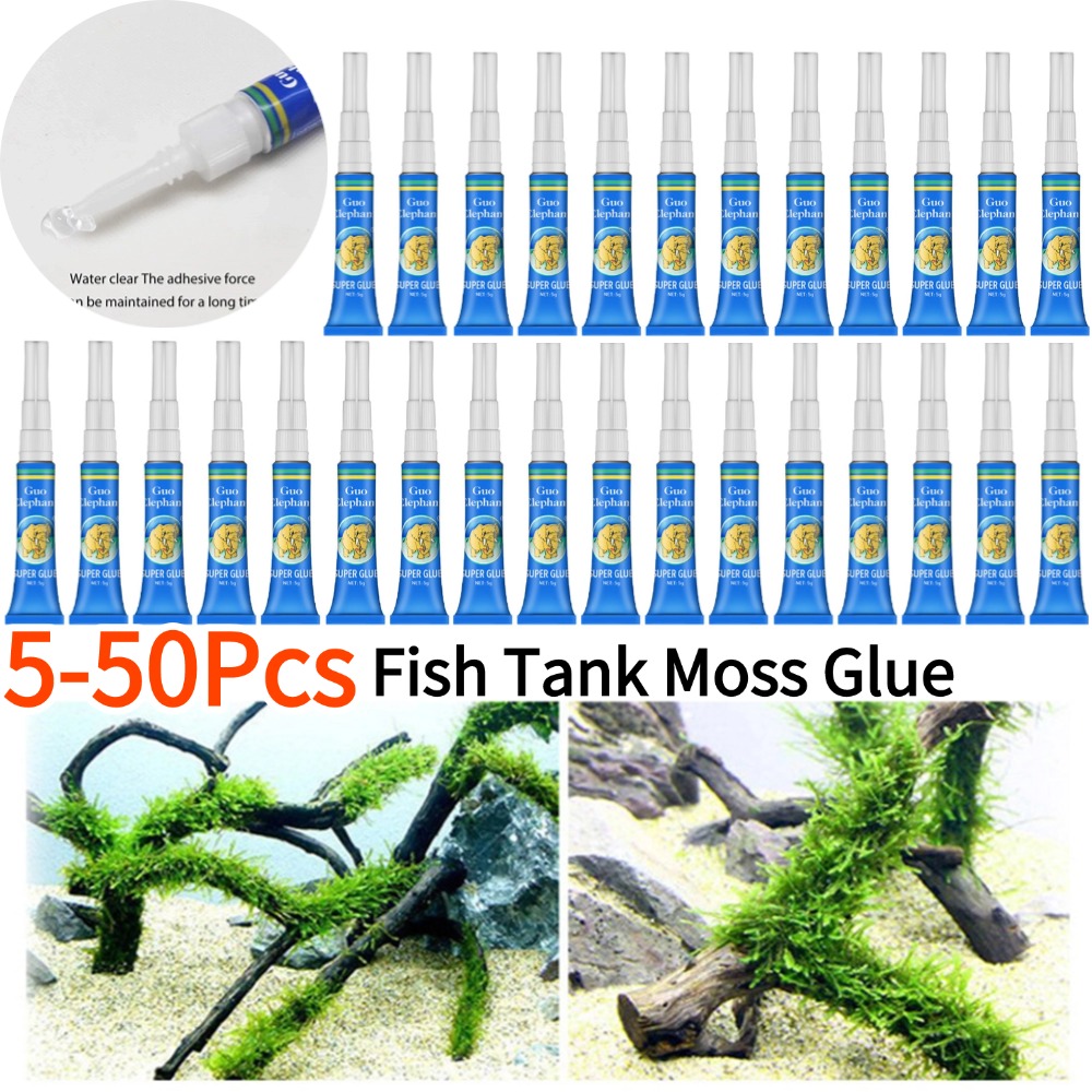 50-5Pcs Fish Tank Landscaping  - Aquarium Plant Glue ulasan dan harga