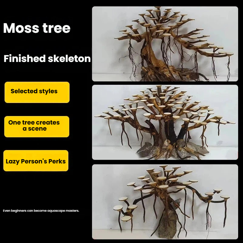 Aquarium Landscaping Moss Tree - Aquarium Plant Order ulasan dan harga