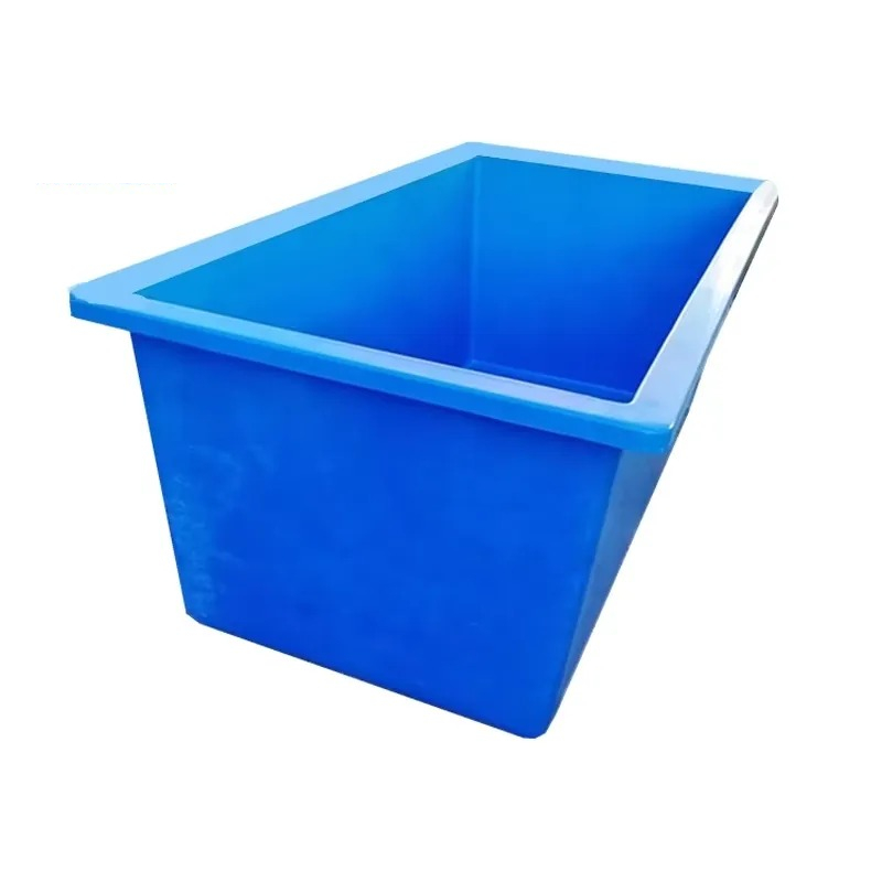 Living Plants for Aquarium Rou - Aquarium Planted Seeds ulasan dan harga