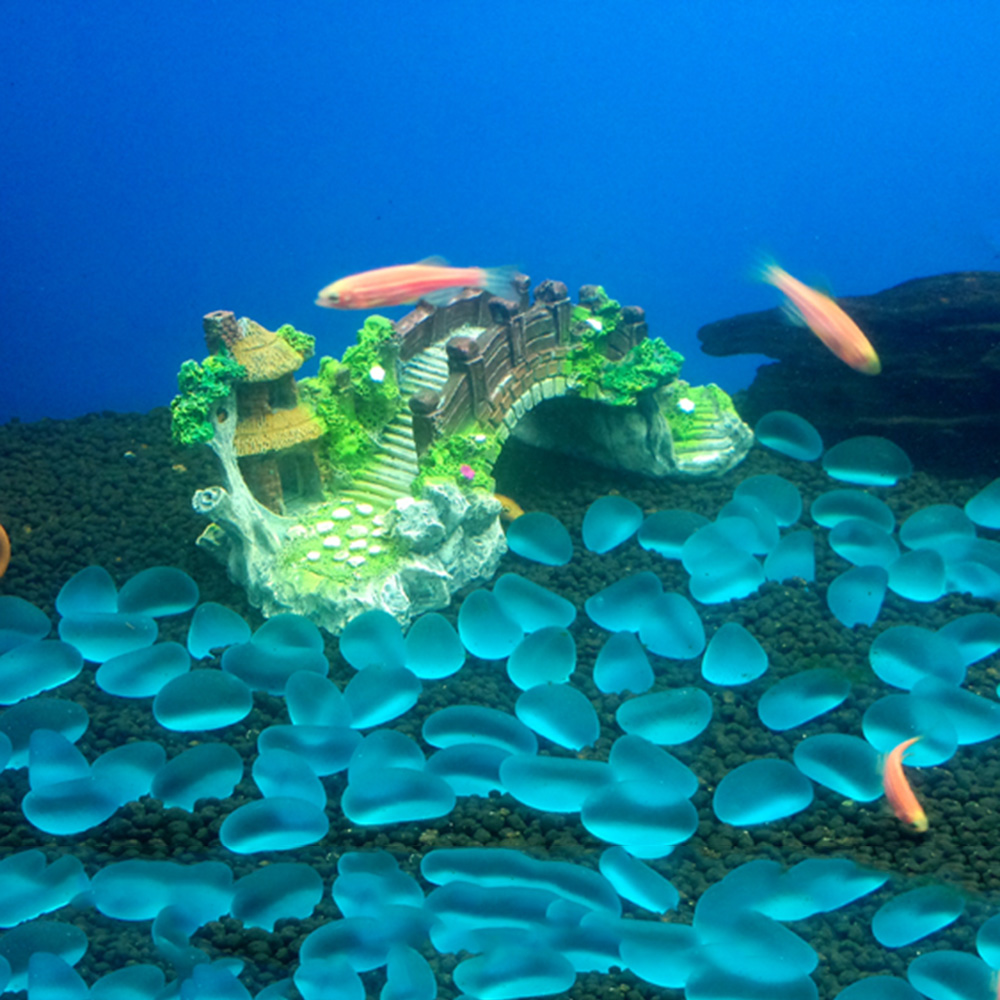 Aquarium Accessories Arbor Tre - Planted Aquarium Media ulasan dan harga