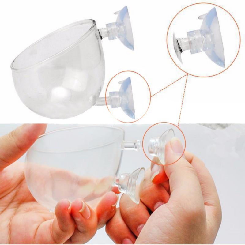 Aquarium Hanging Plant Pot Gla - Aquarium Planted Seeds ulasan dan harga