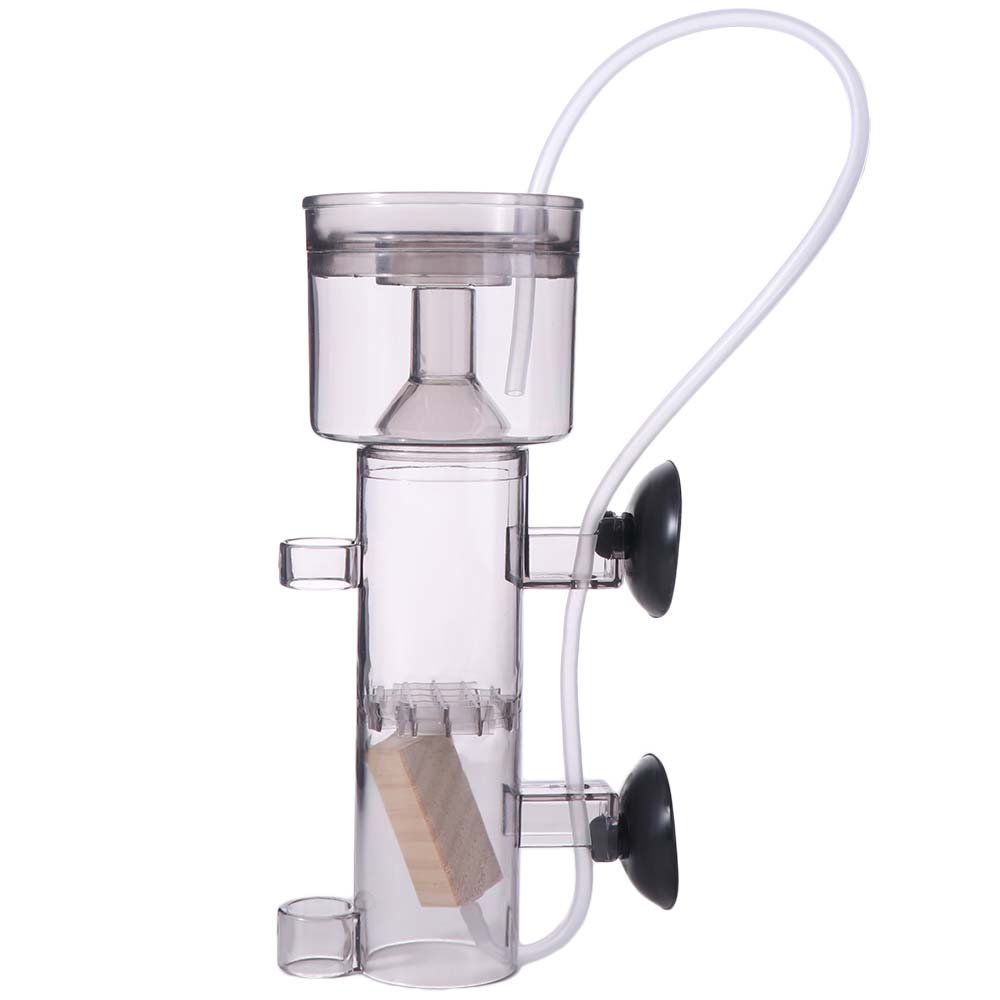 Suction Cup Aquarium Protein S - Aquarium Lily Pipe ulasan dan harga