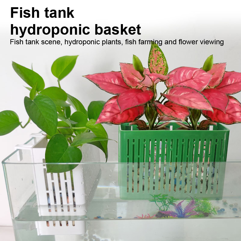 【F】Fish Tank Hanging Planter A - Planted Aquarium Parameters ulasan dan harga