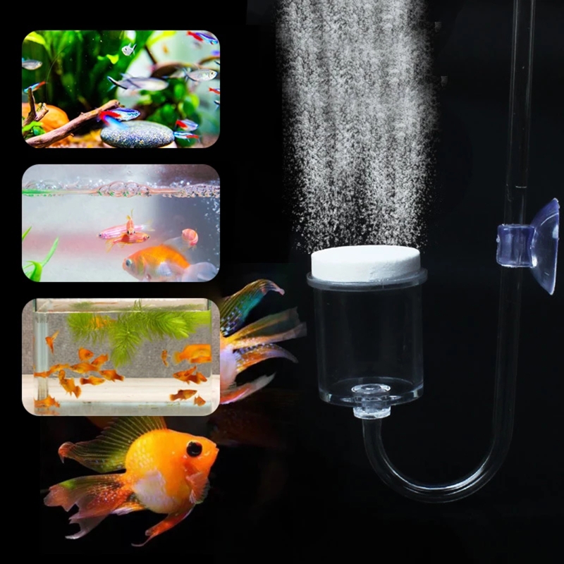 4pcs Set DIY CO2 Diffuser For  - Planted Aquarium Parameters ulasan dan harga
