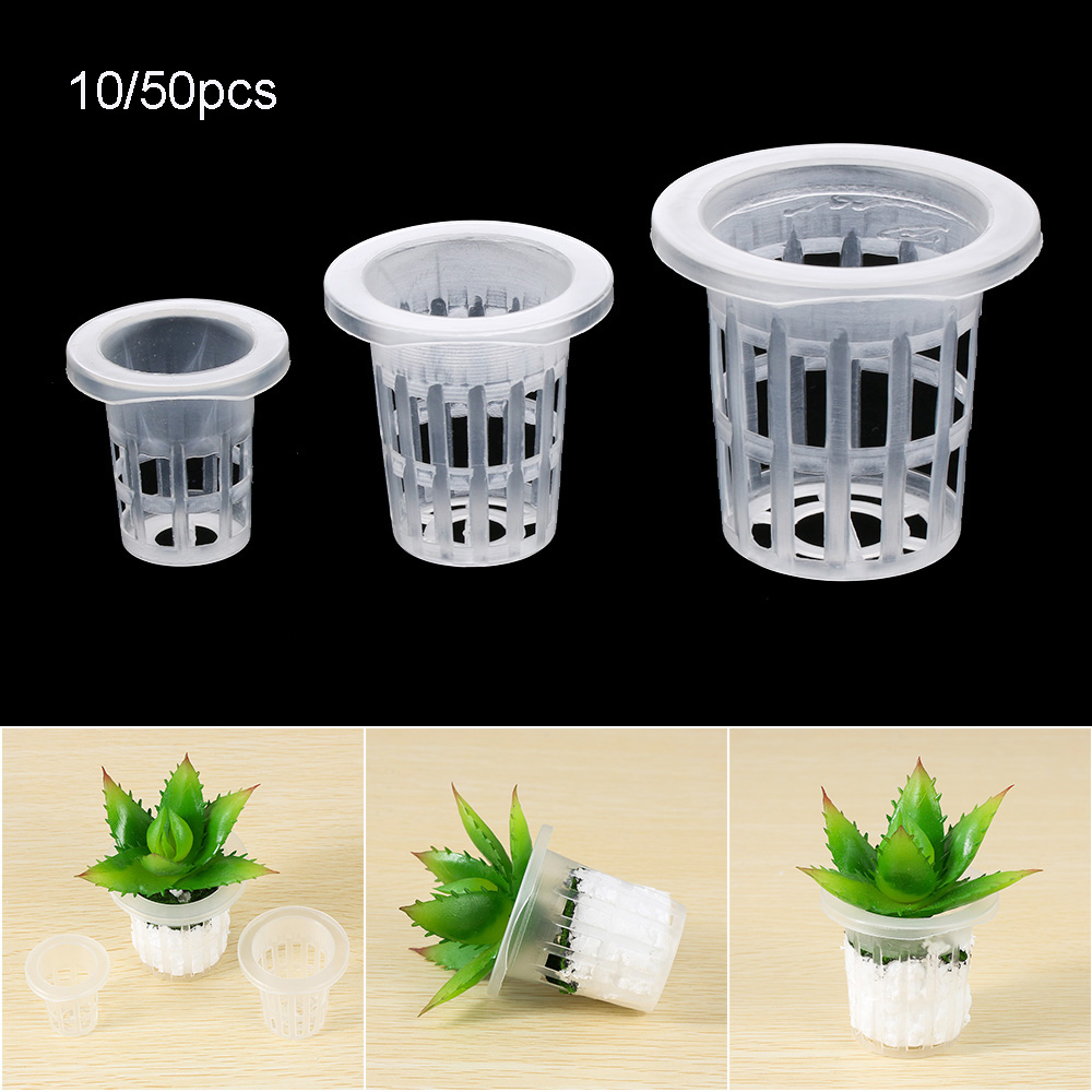 10/50pcs Durable Planting Aqua - Aquarium Planted Seeds ulasan dan harga