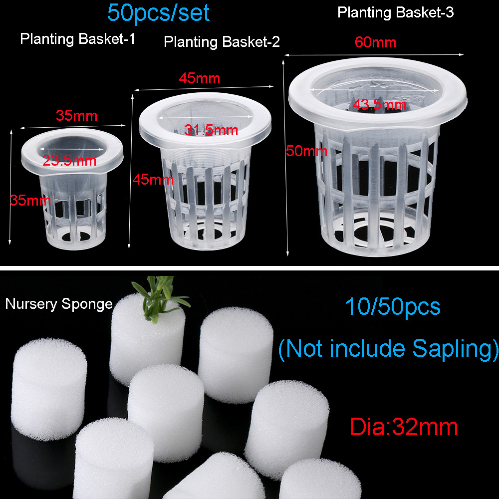 10/50pcs Garden Supplies Plant - Aquarium Planted Seeds ulasan dan harga